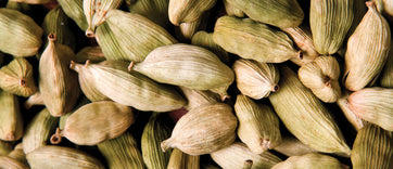 Cardamom